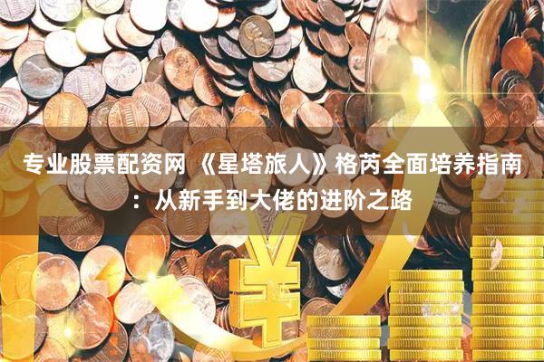 专业股票配资网 《星塔旅人》格芮全面培养指南：从新手到大佬的进阶之路